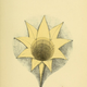 Illustration for article titled These 19th-century diagrams were one mans attempt to illustrate human consciousness